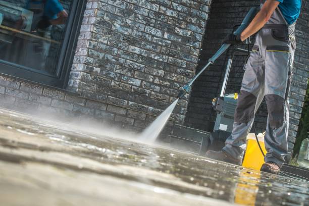 Best Building Exterior Pressure Washing in Harristown, IL
