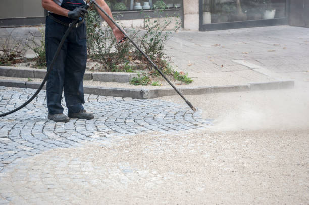 Best Soft Washing for Delicate Surfaces in Harristown, IL